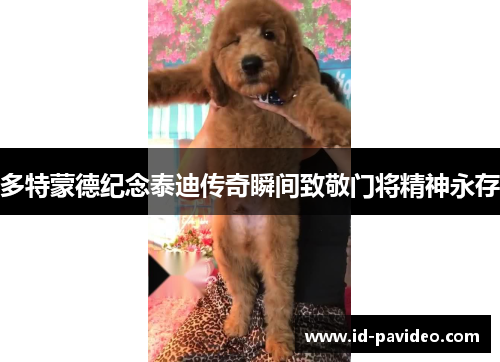 多特蒙德纪念泰迪传奇瞬间致敬门将精神永存 多特蒙德纪念泰迪传奇瞬间致敬门将精神永存