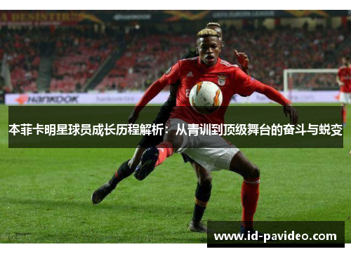 本菲卡明星球员成长历程解析：从青训到顶级舞台的奋斗与蜕变