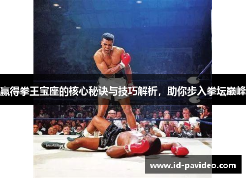 赢得拳王宝座的核心秘诀与技巧解析，助你步入拳坛巅峰